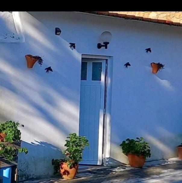 Ferienwohnung Anexo Na Quintinha Caldas Da Rainha Exterior foto