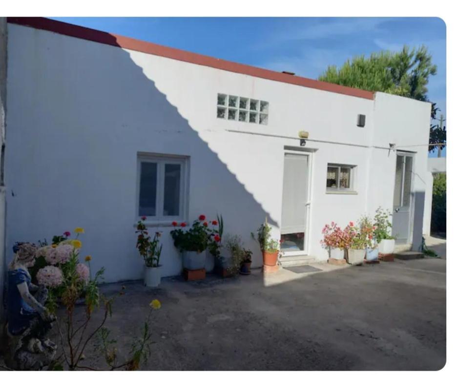 Ferienwohnung Anexo Na Quintinha Caldas Da Rainha Exterior foto